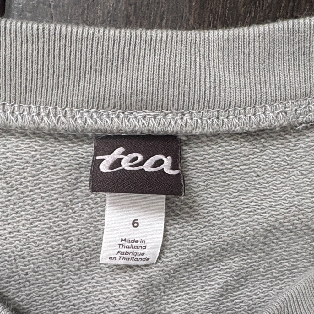 TEA COLLECTION Size 6 Boy Bundle Gray Crewneck, long sleeves, T shirt Dinosaurs - Picture 3 of 11